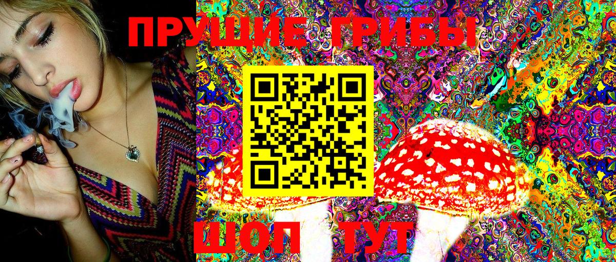 Галлюциногенные грибы ЛСД  Псилоцибиновые грибы Psilocybe  Луга 